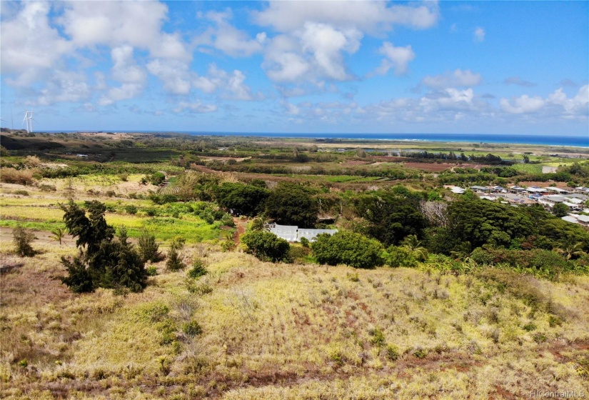 Open land to grow your crops