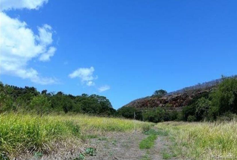 1.6 acres plus of open stream front acres on Anahulu river.