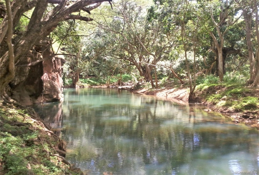 There are over 3 ponds along the stream to swim and enjoy.