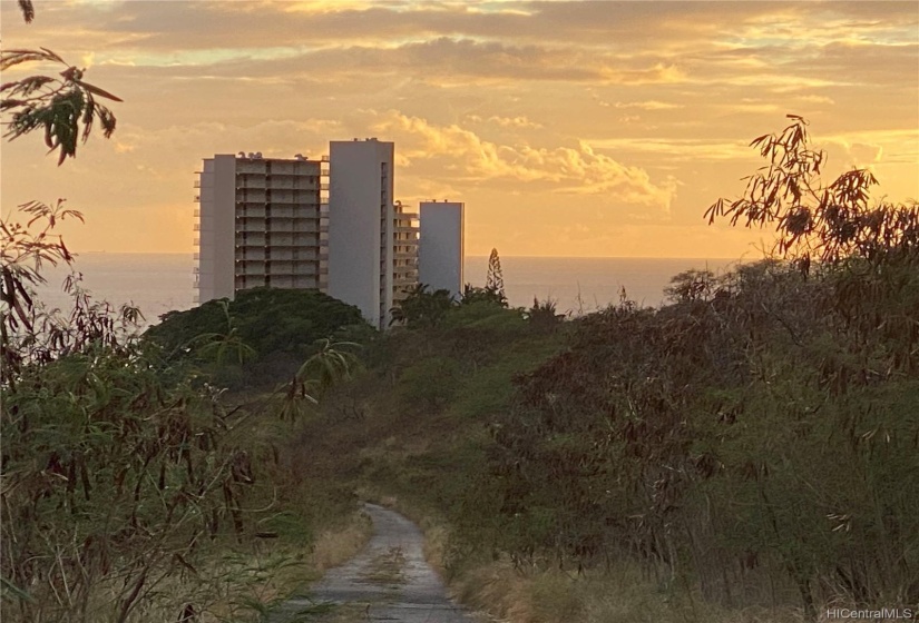 Taken From The Road behind the Makaha Valley Towers