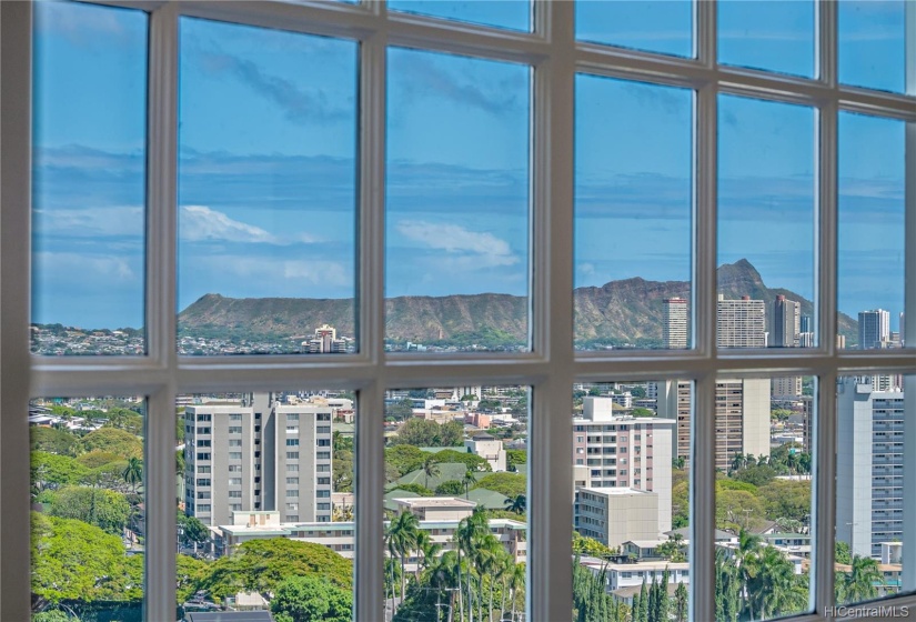 View from living area window.