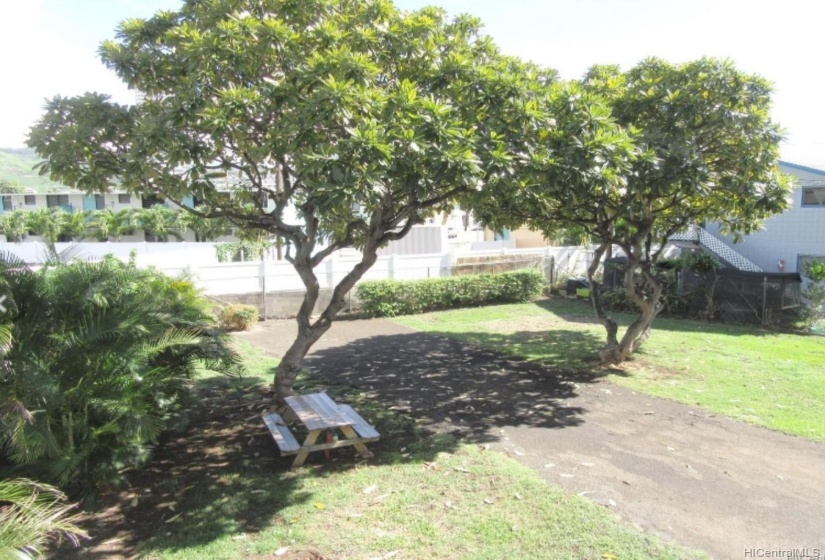 backyard & car wash area...