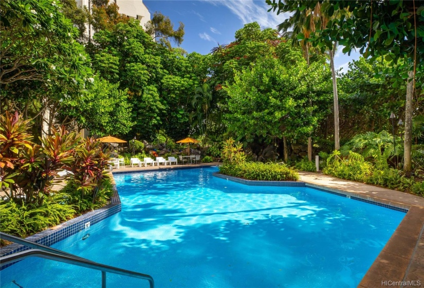 Heated pool surrounded by lush tropical gardens